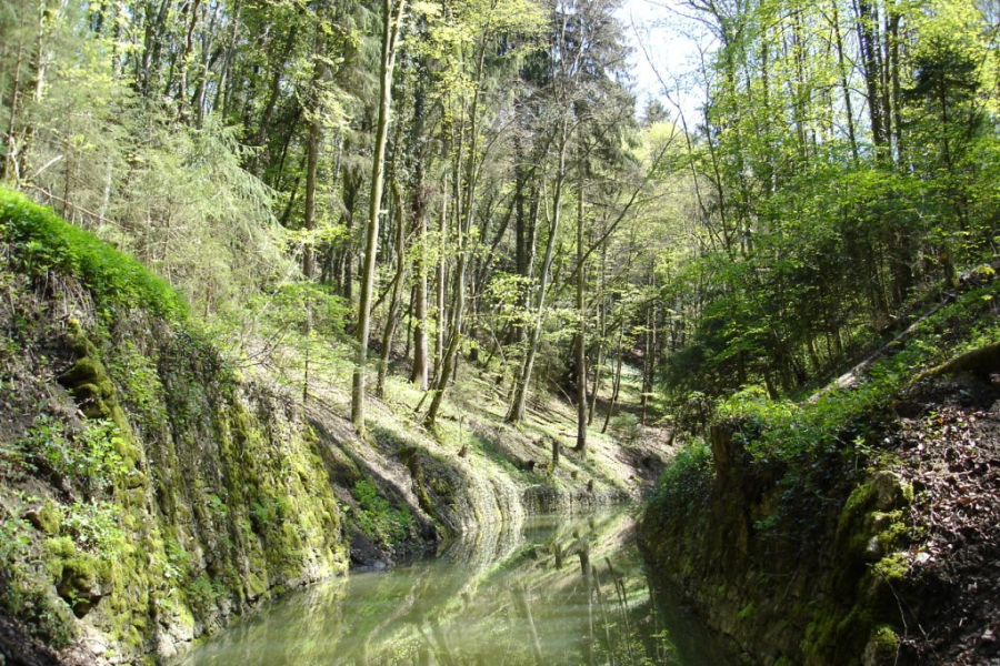 Canal_Entreroches